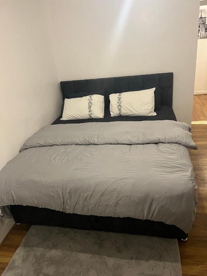 Accu Care Apartment Londres Extérieur photo